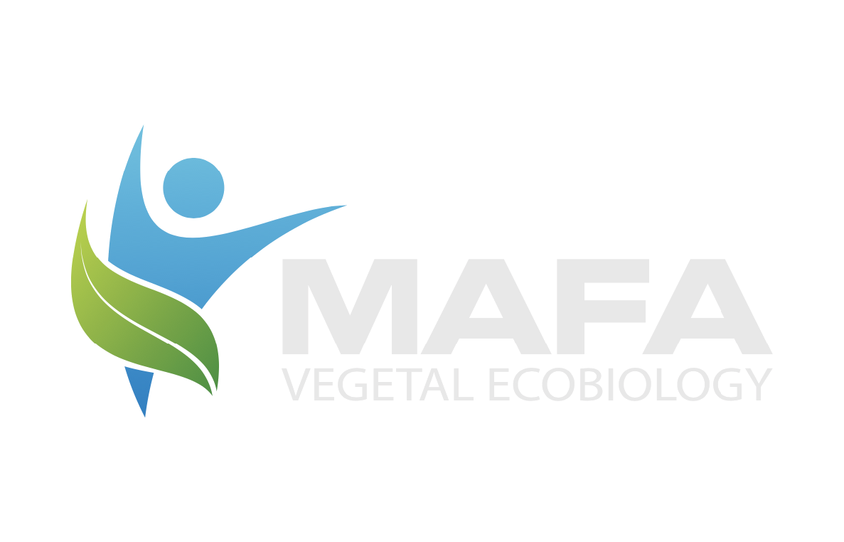 Mafa